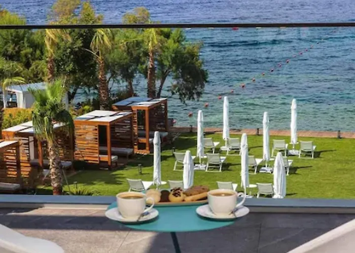 מלון Arts Bodrum