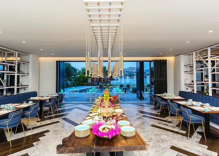 מלון Arts Bodrum 3*